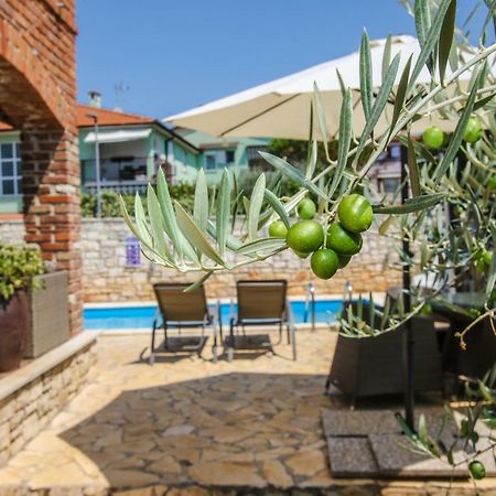 Villa Istriana Jakob With Pool Tar-Vabriga Extérieur photo